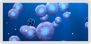 Regenrative Medicine